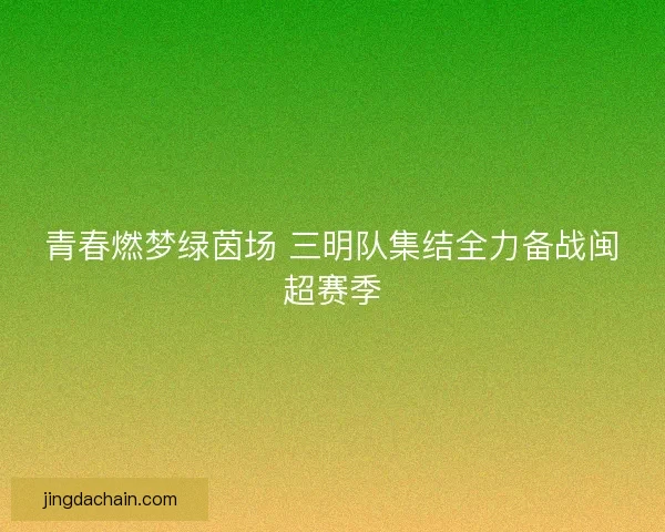 青春燃梦绿茵场 三明队集结全力备战闽超赛季
